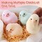 LET'S RESIN 4 Pcs Chicks Silicone Molds for Taba Squishy, Cute Animal Molds for Squishy Maker, Resin Casting, Effortless Demolding for Stress Relief DIY Decompression Gift Home Decor